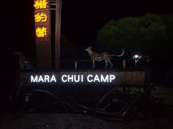 Отель Mara Chui Camp Ololaimutiek Экстерьер фото